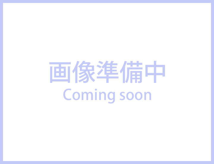 クリアファイル